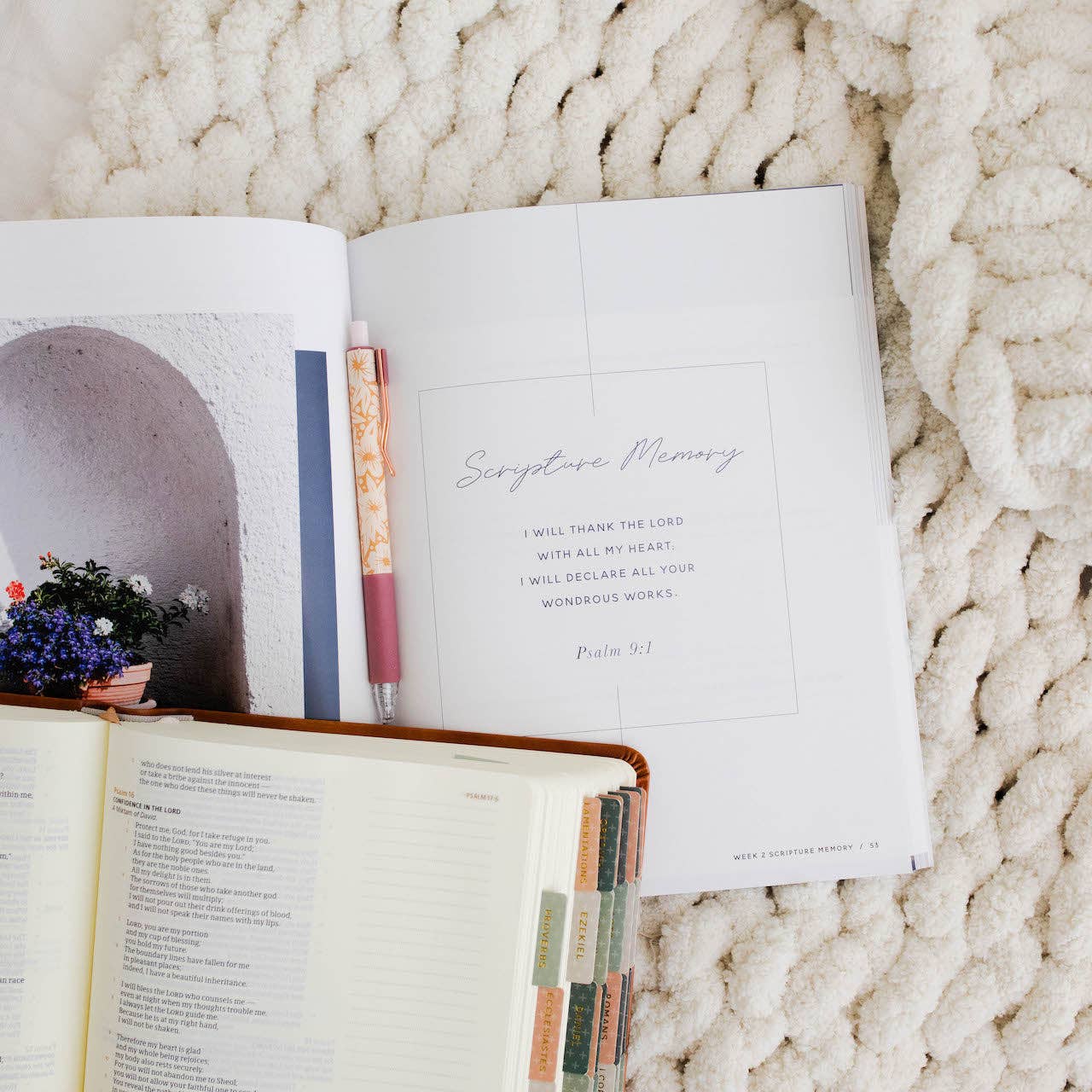 Delight | Psalms 1-30