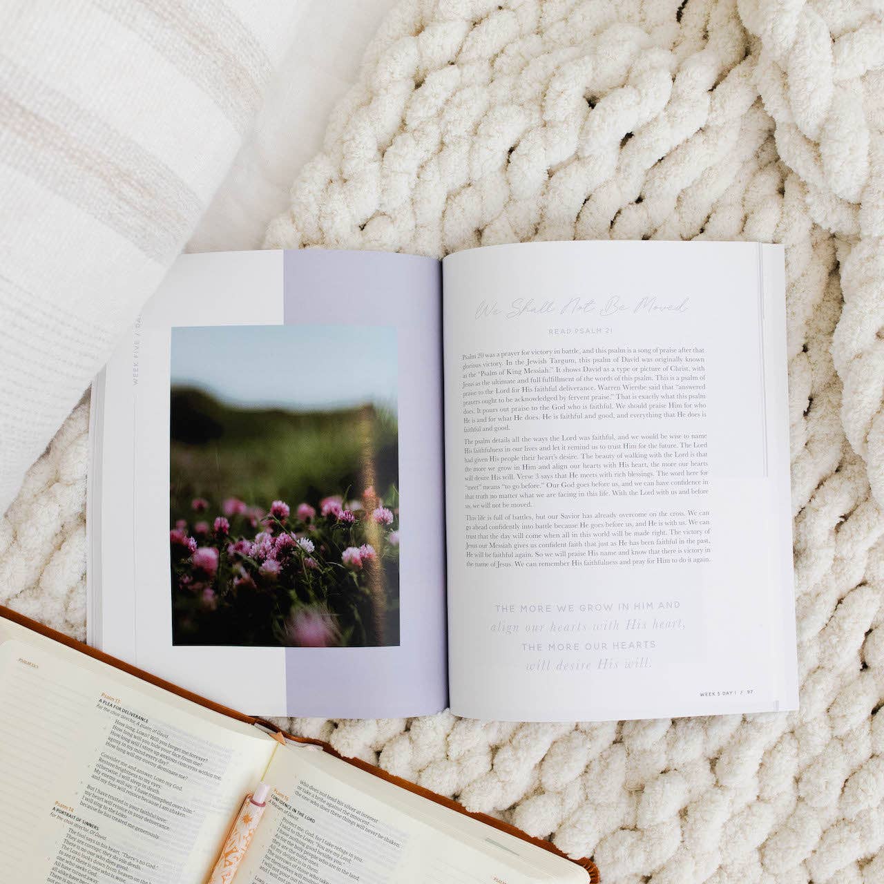 Delight | Psalms 1-30