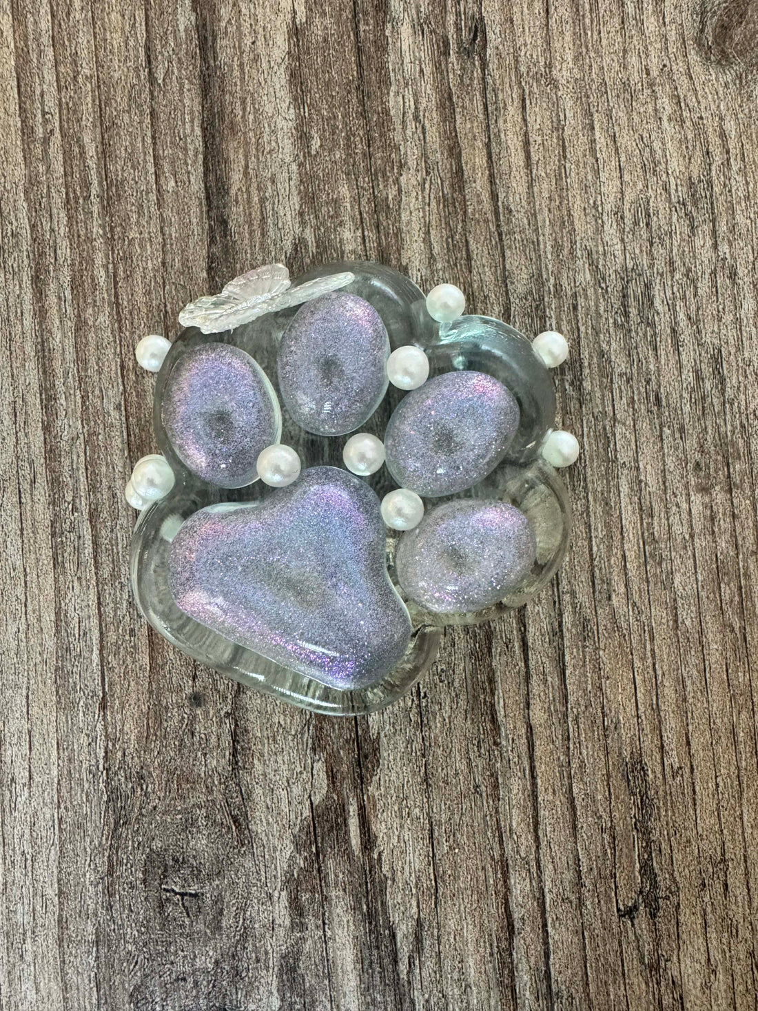 Blue Butterfly Paw Squishy