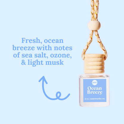 Car Diffusers
