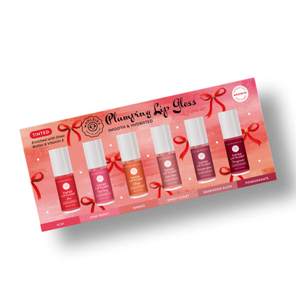 Plumping Lip Gloss Collection – Smooth & Hydrated Set of 6